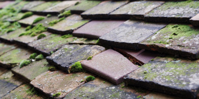 Llangyndeyrn roof repair costs